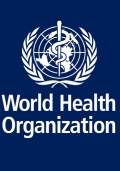 Ethics and governance of artificial intelligence for health: Guidance on large multi-modal models